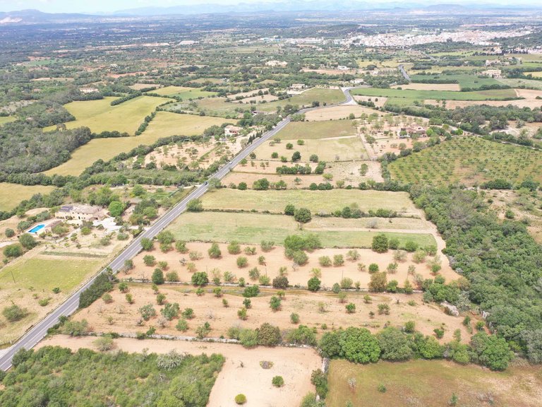 Plot for Sale in Felanitx, Balearic Islands 3