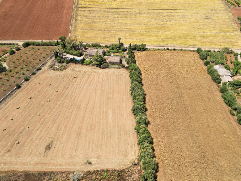 Plot for Sale in Felanitx, Balearic Islands 10