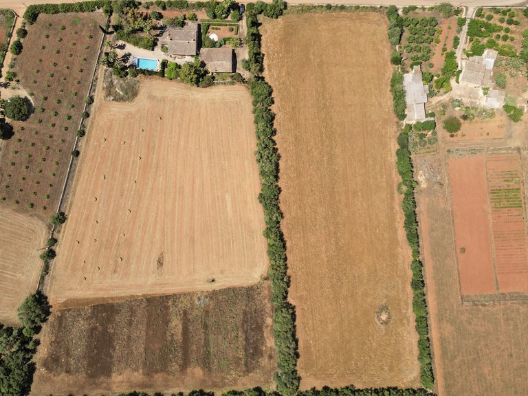 Plot for Sale in Felanitx, Balearic Islands 3