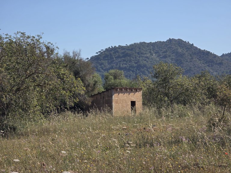 Plot for Sale in Manacor, Balearic Islands 7