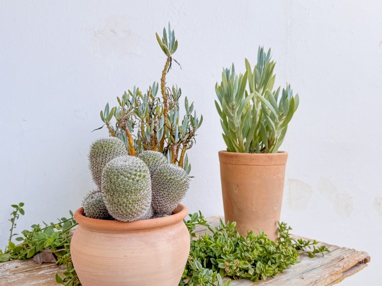 Apartment for Sale in Felanitx, Balearic Islands 19