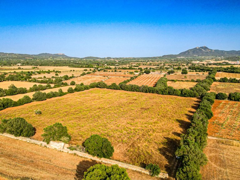 Plot for Sale in Felanitx, Balearic Islands 1