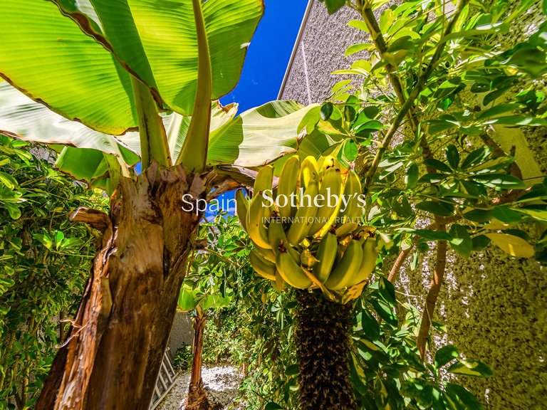 Villa for Sale in Playa De Las Americas, Tenerife 6