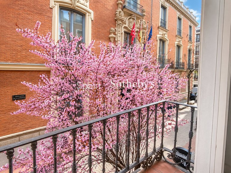 Apartment for Sale in Madrid, Madrid 2