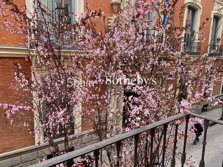 Apartment for Sale in Madrid, Madrid 11