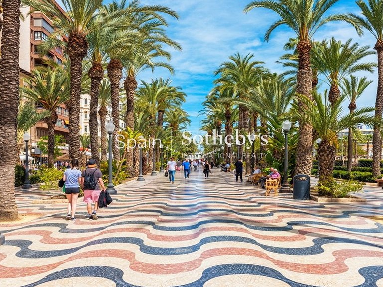 Apartment for Sale in Alicante, Alicante 15