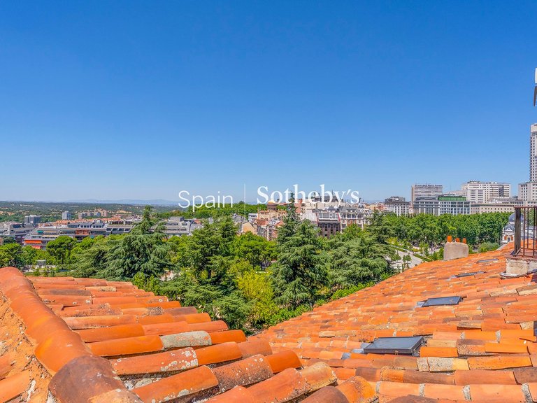 Penthouse for Rent in Madrid, Madrid 38