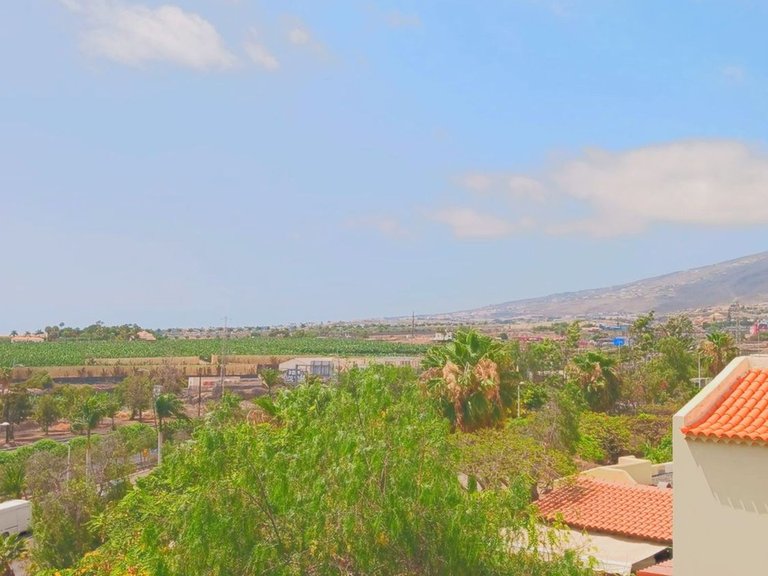 Apartment for Sale in Adeje, Tenerife 14