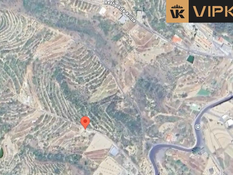 Plot for Rent in Güimar, Tenerife 6