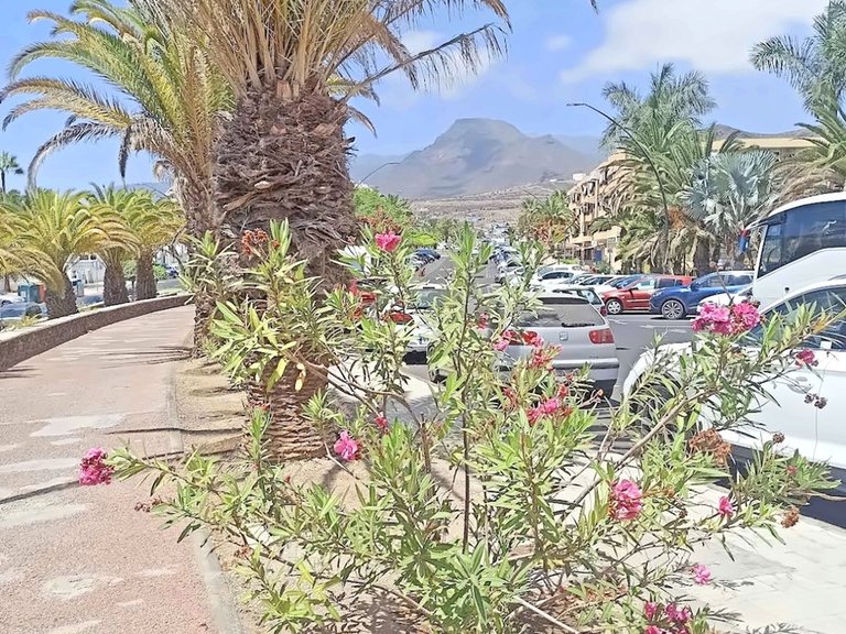 Apartment for Sale in Arona, Tenerife 11