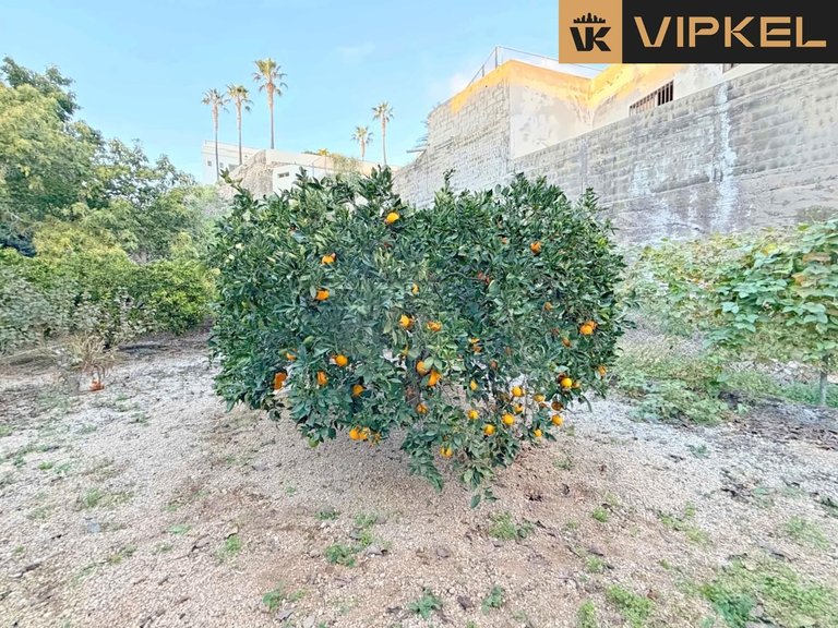Villa for Sale in San Miguel De Abona, Tenerife 24