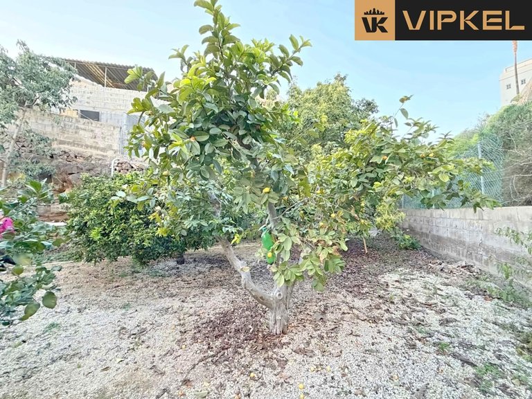 Villa for Sale in San Miguel De Abona, Tenerife 28