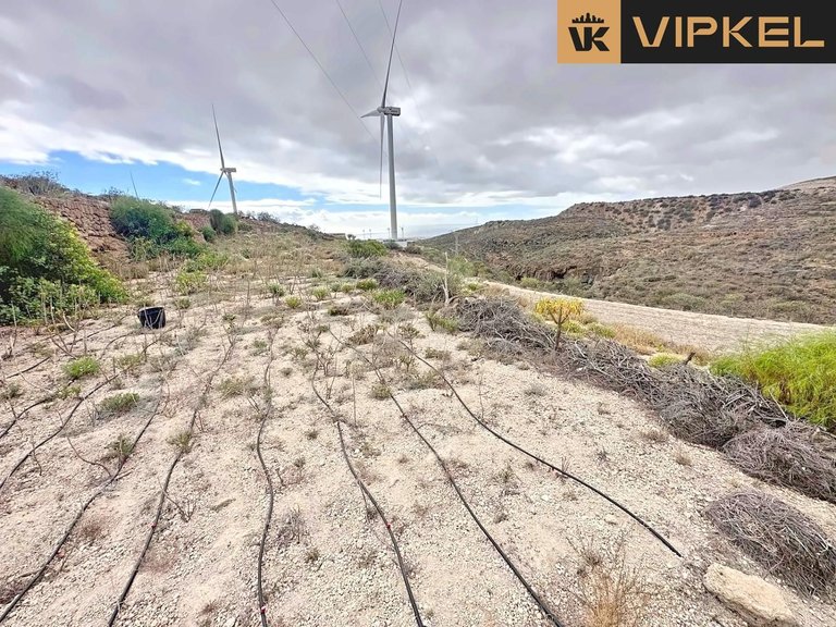 Plot for Rent in Arico, Tenerife 11