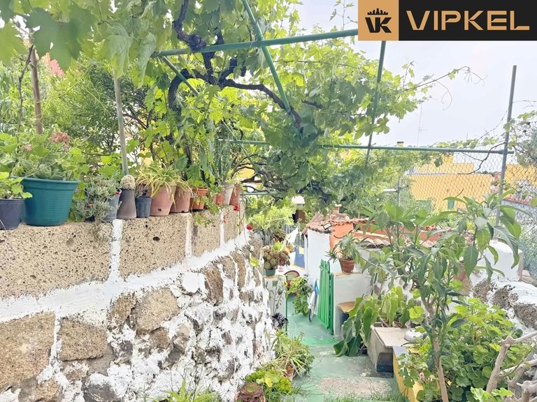 Villa for Sale in Granadilla De Abona, Tenerife 20