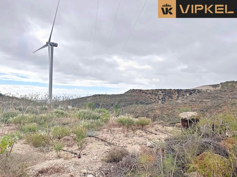 Plot for Rent in Arico, Tenerife 2