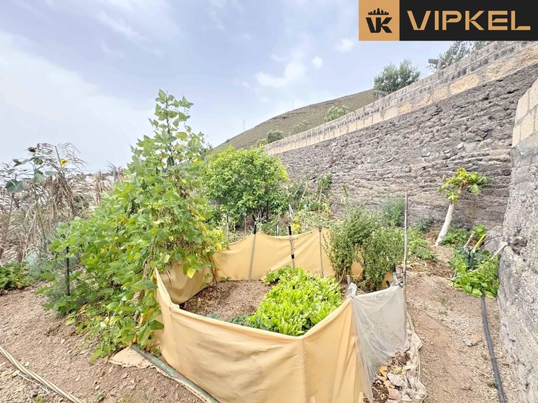 Villa for Sale in Granadilla De Abona, Tenerife 24