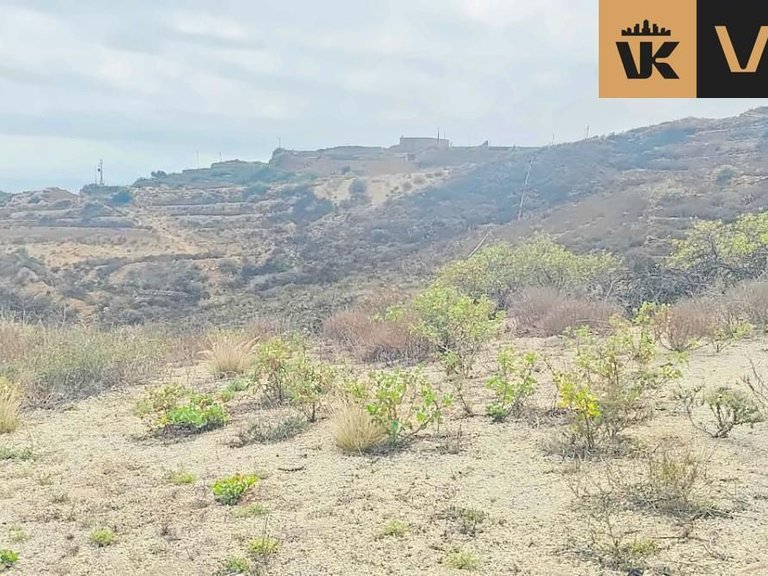 Plot for Rent in Güimar, Tenerife 1