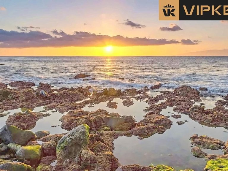 Villa for Sale in Granadilla De Abona, Tenerife 1