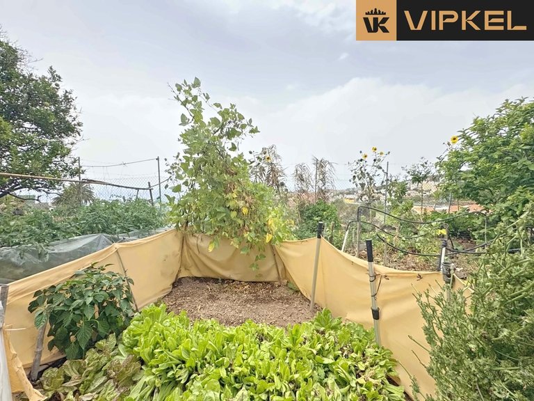 Villa for Sale in Granadilla De Abona, Tenerife 7