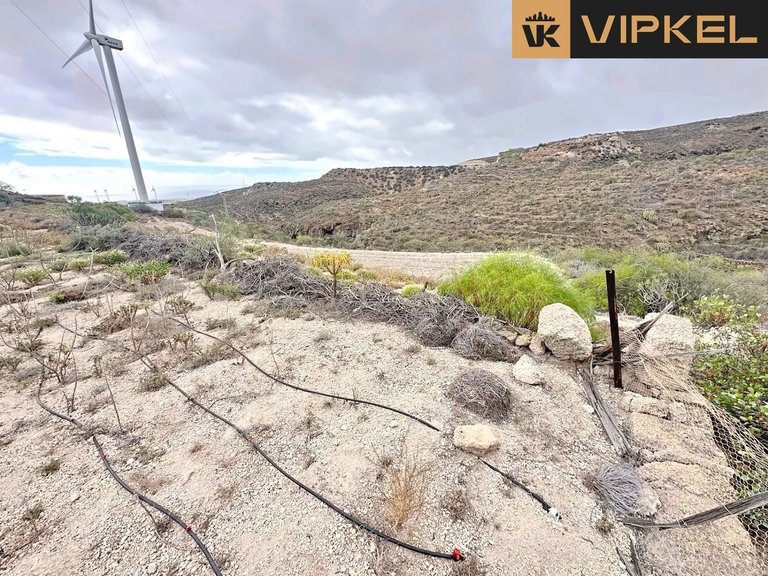 Plot for Rent in Arico, Tenerife 17