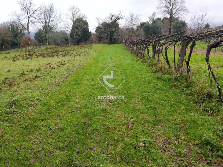 Plot para Sale en Ganfei (são Salvador), Valença 3