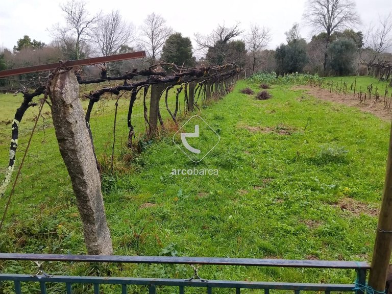 Plot para Sale en Ganfei (são Salvador), Valença 8