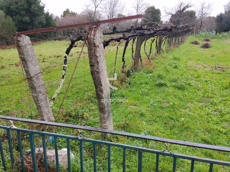 Plot para Sale en Ganfei (são Salvador), Valença 9