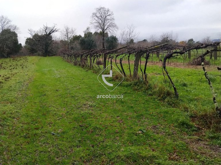 Plot para Sale en Ganfei (são Salvador), Valença 11