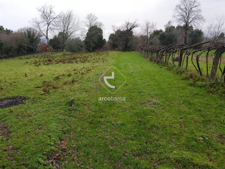 Plot para Sale en Ganfei (são Salvador), Valença 10