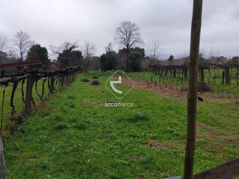 Plot para Sale en Ganfei (são Salvador), Valença 5