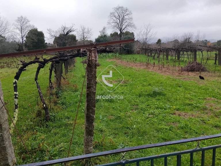 Plot para Sale en Ganfei (são Salvador), Valença 4