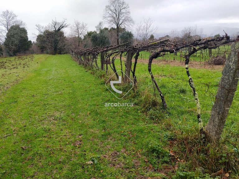 Plot para Sale en Ganfei (são Salvador), Valença 2