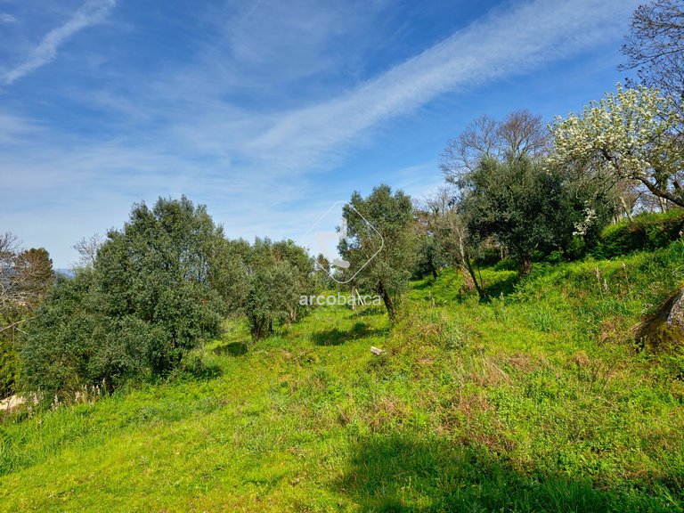 Plot para Sale en Gemieira, Ponte De Lima 5