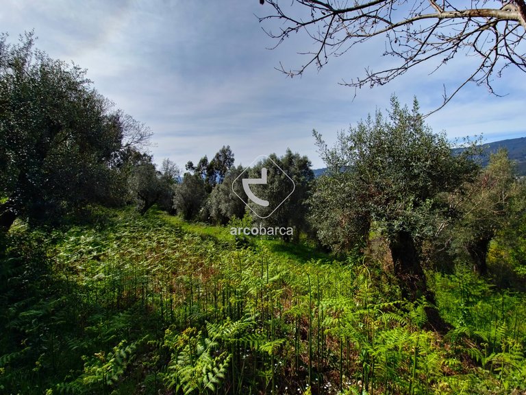 Plot para Sale en Gemieira, Ponte De Lima 8