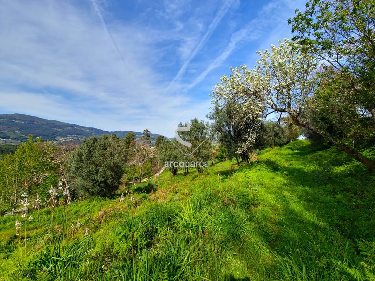 Plot para Sale en Gemieira, Ponte De Lima 10