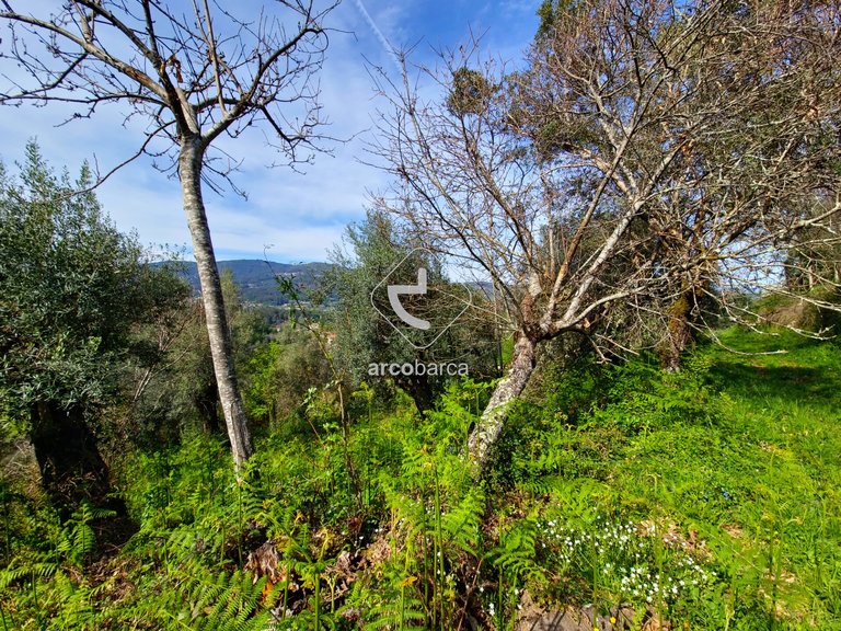 Plot para Sale en Gemieira, Ponte De Lima 9