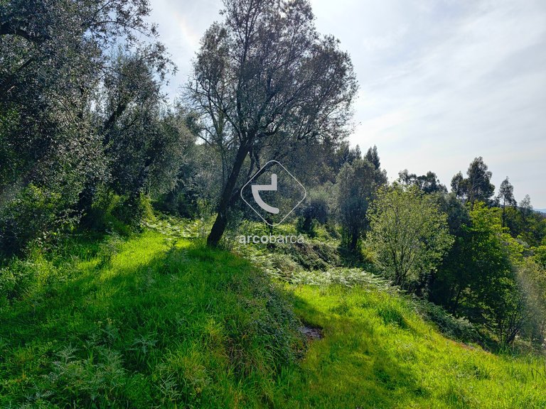 Plot para Sale en Gemieira, Ponte De Lima 6