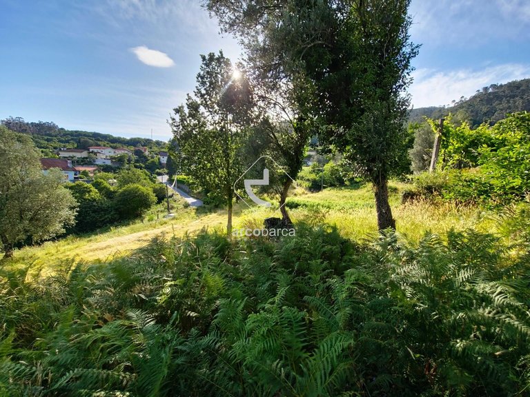 Country House para Sale en Alvora E Loureda, Arcos De Valdevez 43