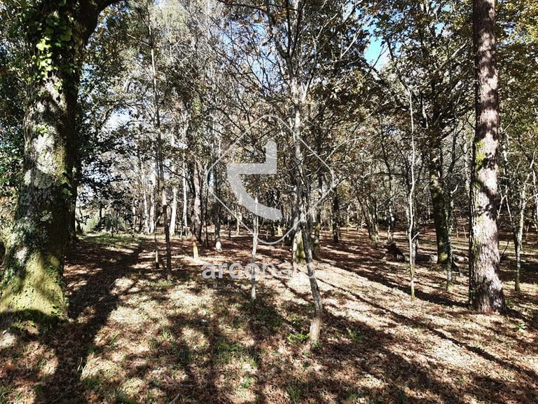 Plot para Sale en Vascões, Paredes De Coura 5
