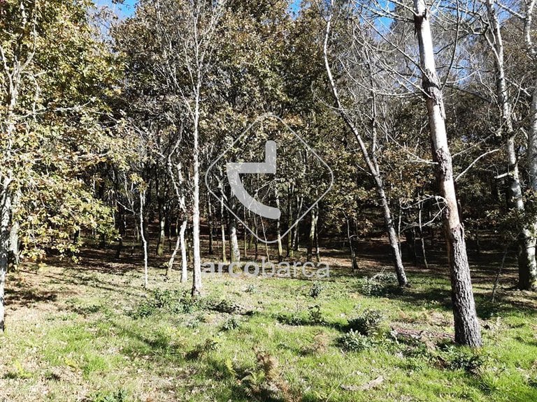 Plot para Sale en Vascões, Paredes De Coura 4