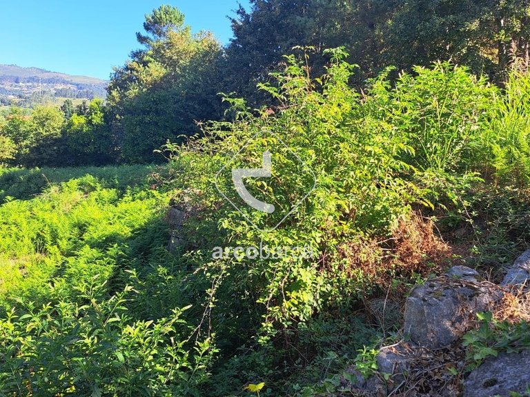 Villa para Sale en São Paio Jolda, Arcos De Valdevez 30