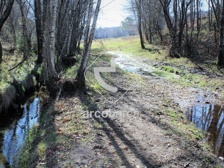 Plot para Sale en Vascões, Paredes De Coura 4