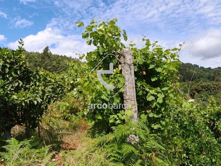 Villa para Sale en Távora (santa Maria E São Vicente), Arcos De Valdevez 11