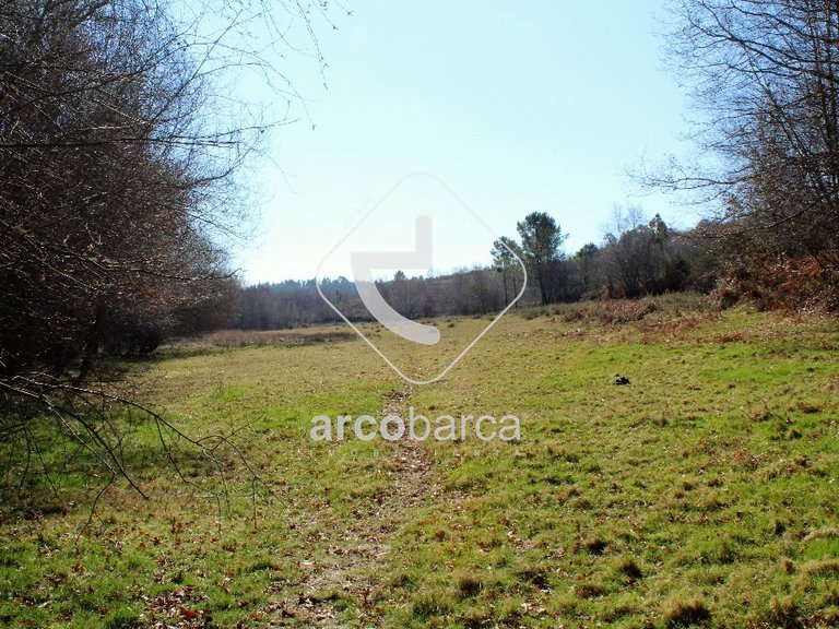 Plot para Sale en Vascões, Paredes De Coura 11