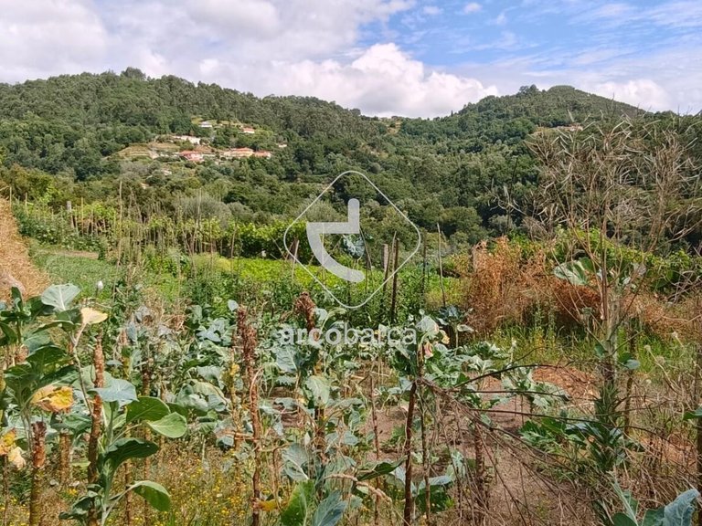 Villa para Sale en Távora (santa Maria E São Vicente), Arcos De Valdevez 13