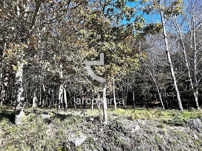Plot para Sale en Vascões, Paredes De Coura 11