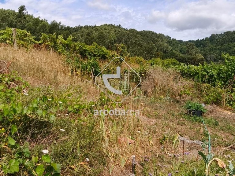 Villa para Sale en Távora (santa Maria E São Vicente), Arcos De Valdevez 9