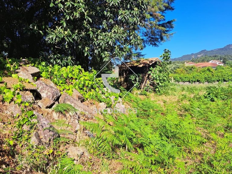 Villa para Sale en São Paio Jolda, Arcos De Valdevez 21