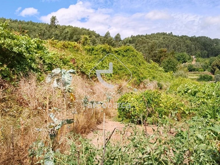 Villa para Sale en Távora (santa Maria E São Vicente), Arcos De Valdevez 12