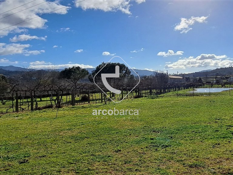 Country House para Sale en Correlhã, Ponte De Lima 29